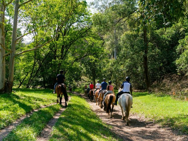 Glenworth Valley Horse Riding