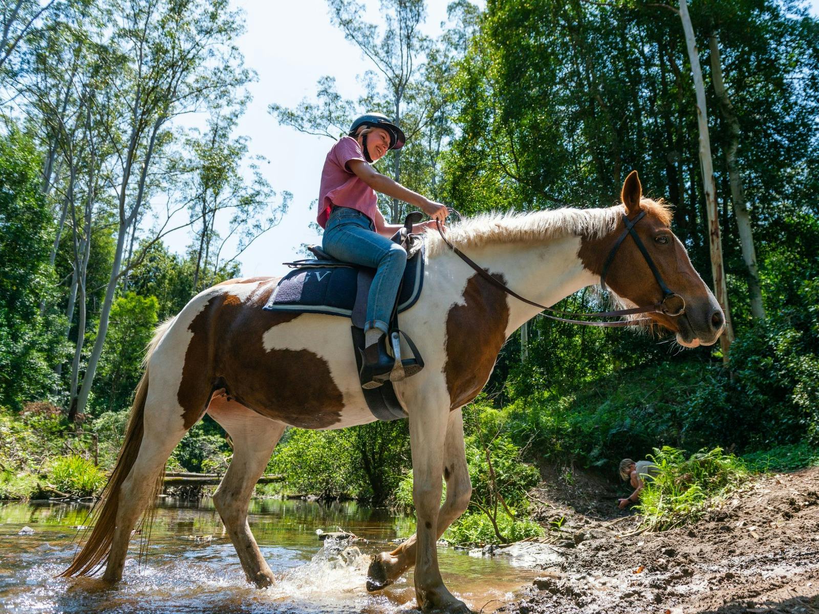 Glenworth Valley Wilderness Adventures Horse Riding
