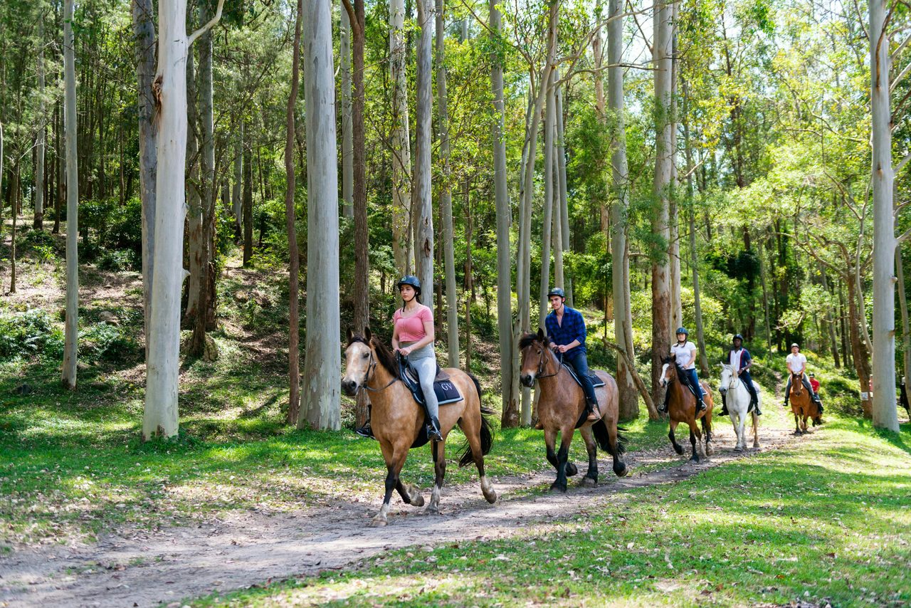 Horse riding glenworth valley wilderness adventures
