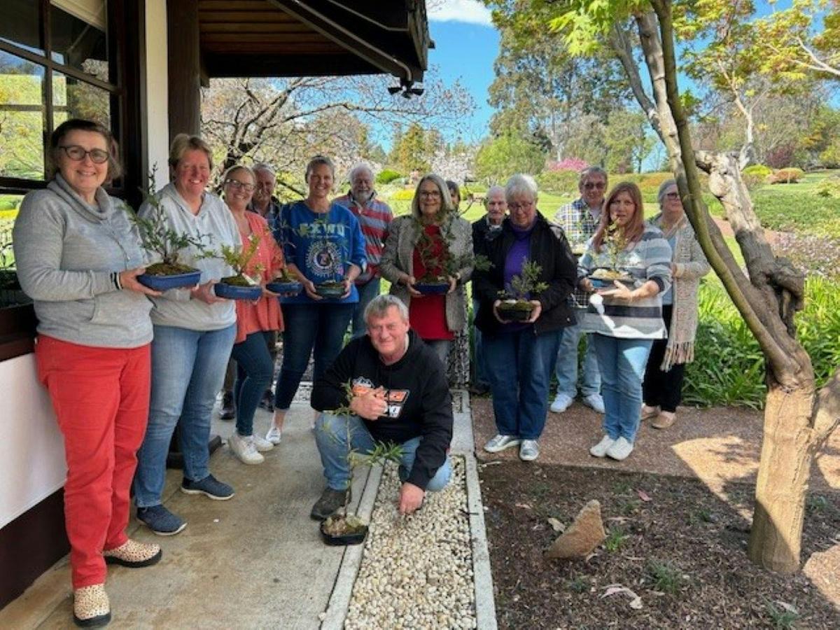 Bonsai Workshop