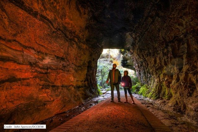 Glow Worm Tunnel