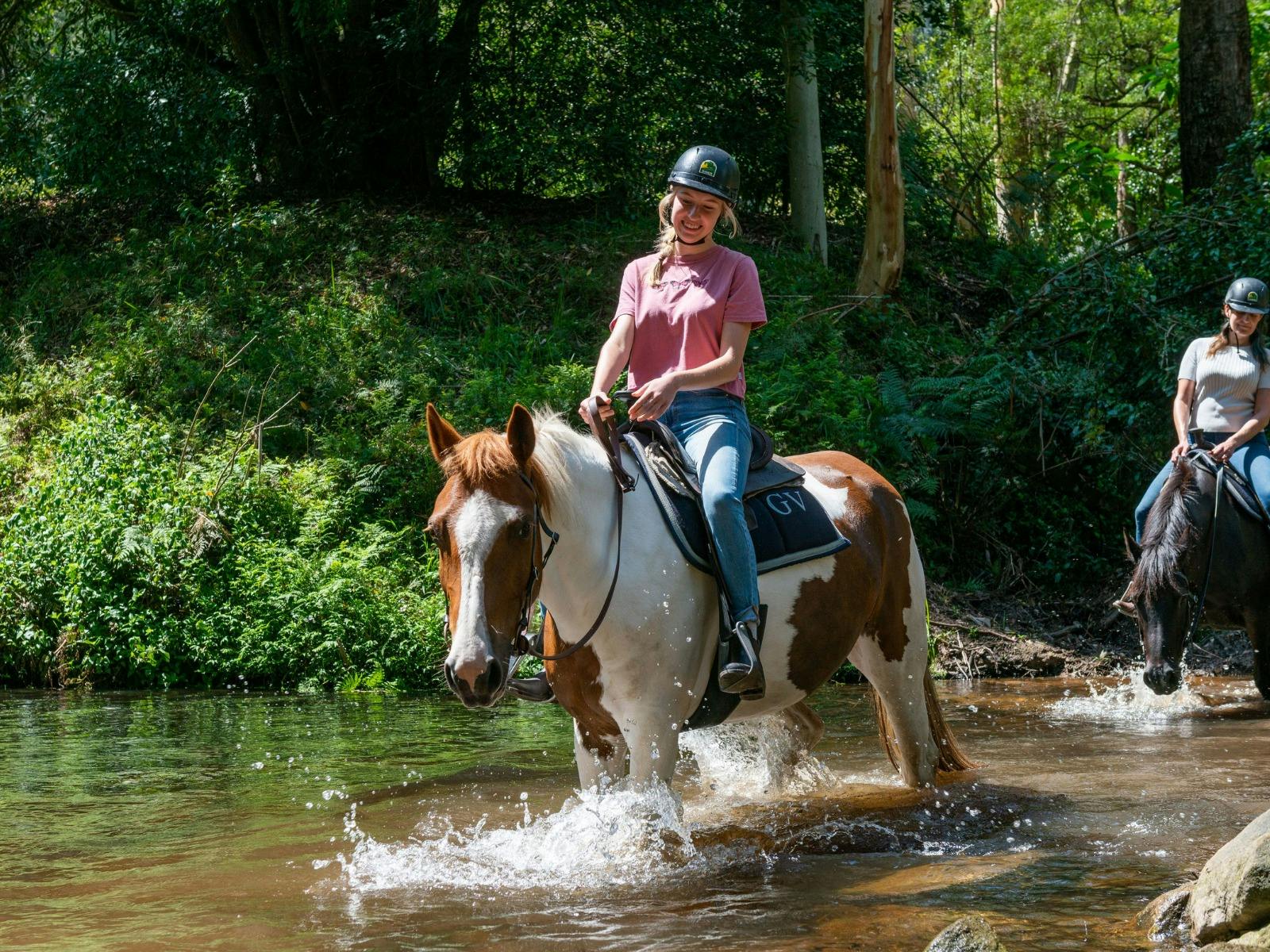 Glenworth Valley Wilderness Adventures Horse Riding Tour