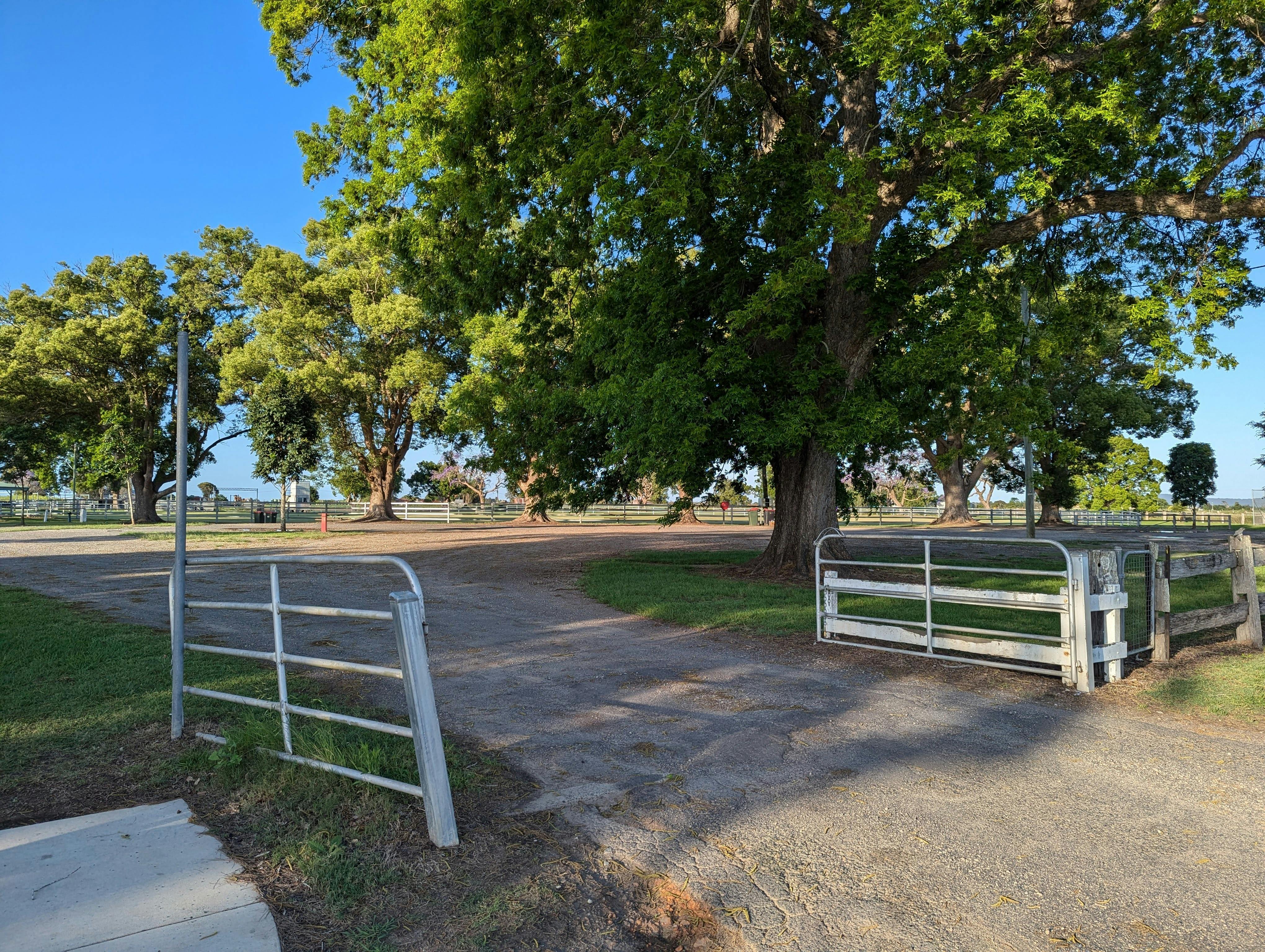 Ulmarra Showground Camping