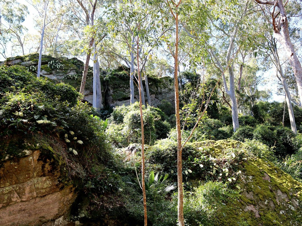 Amphitheatre