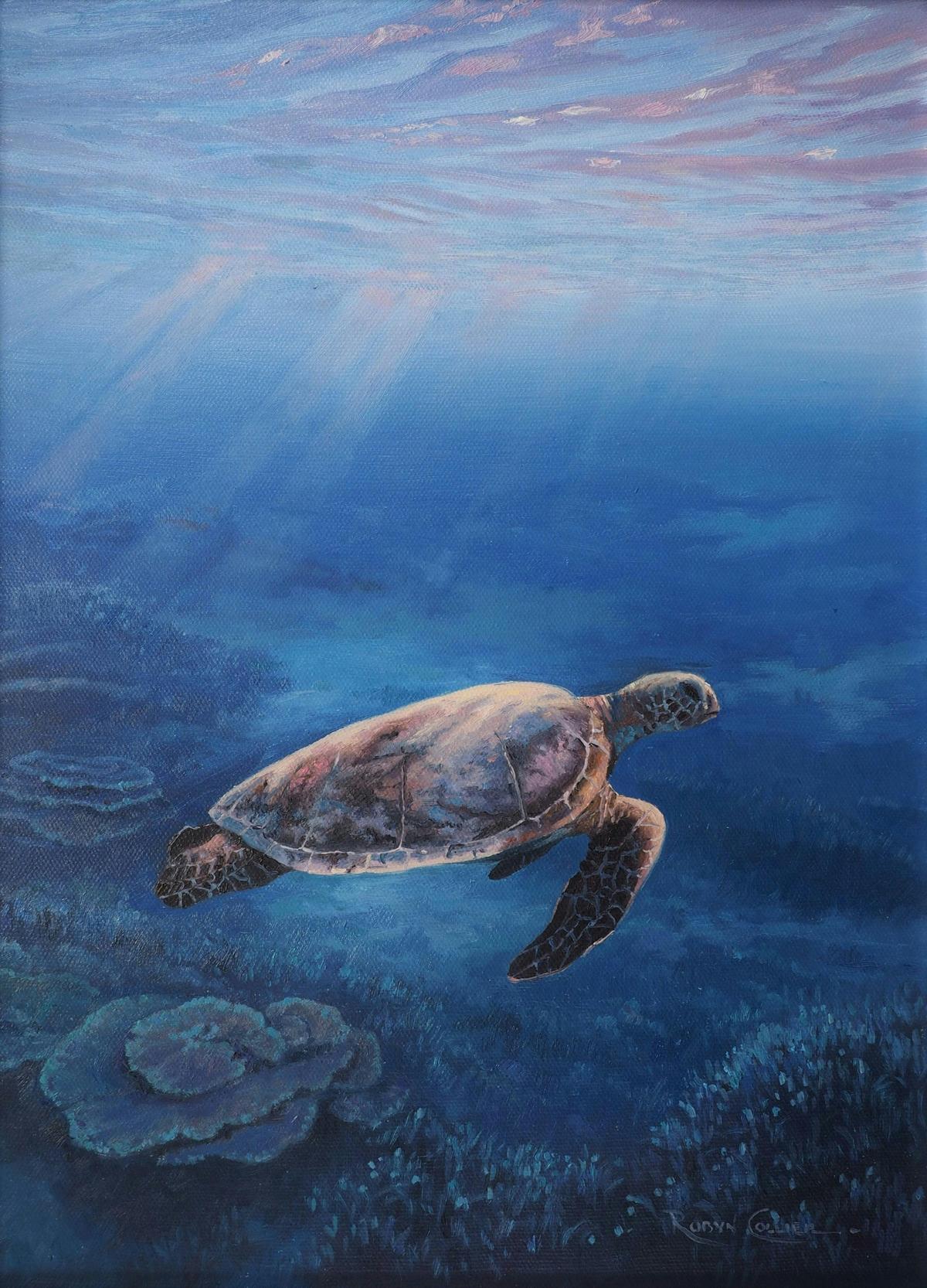 Spotlit Turtle