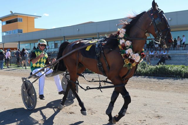 Goulburn Harness Racing Club