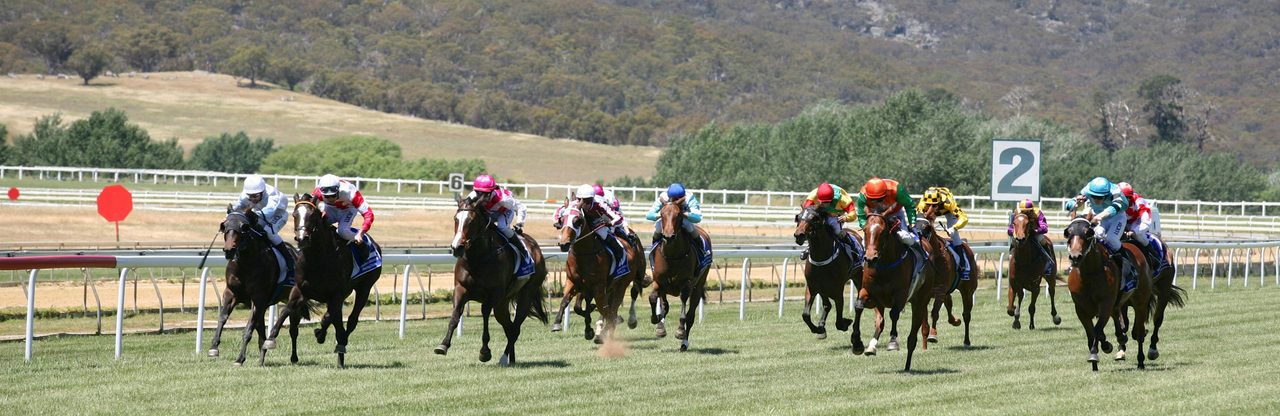 Goulburn & District Racing