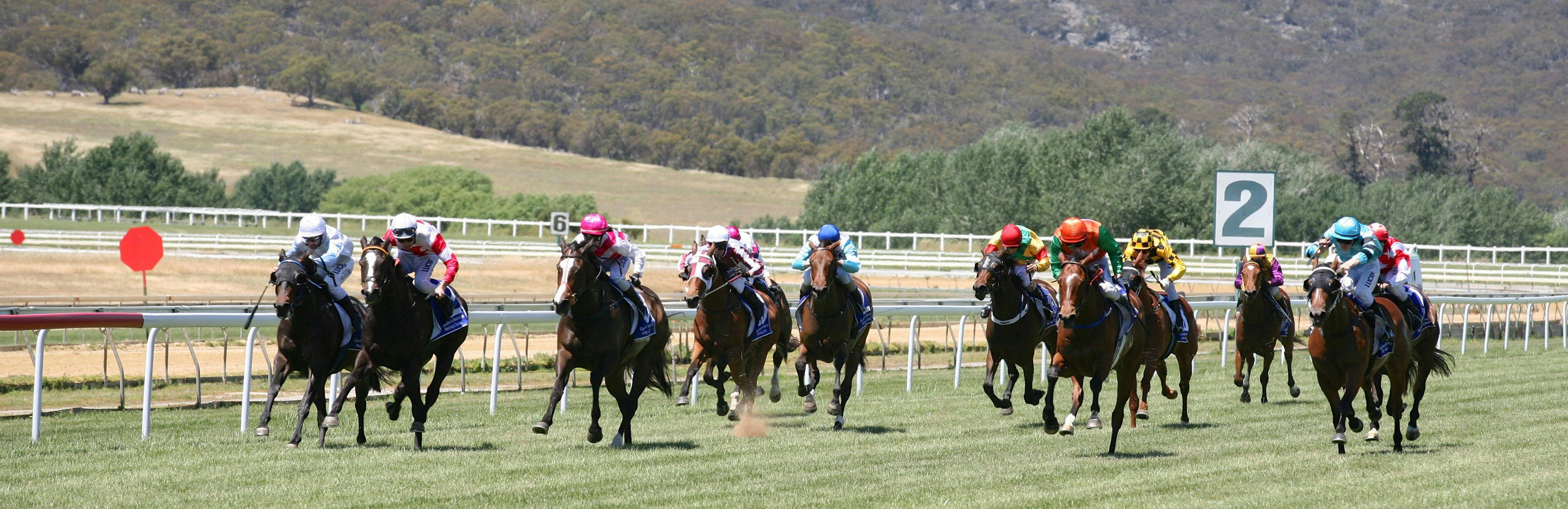Goulburn & District Racing