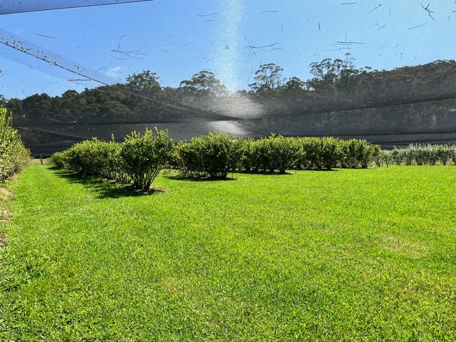 Higgins Creek Farm