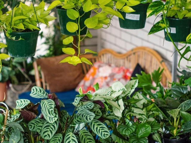 Habitat Nursery & Coffee House