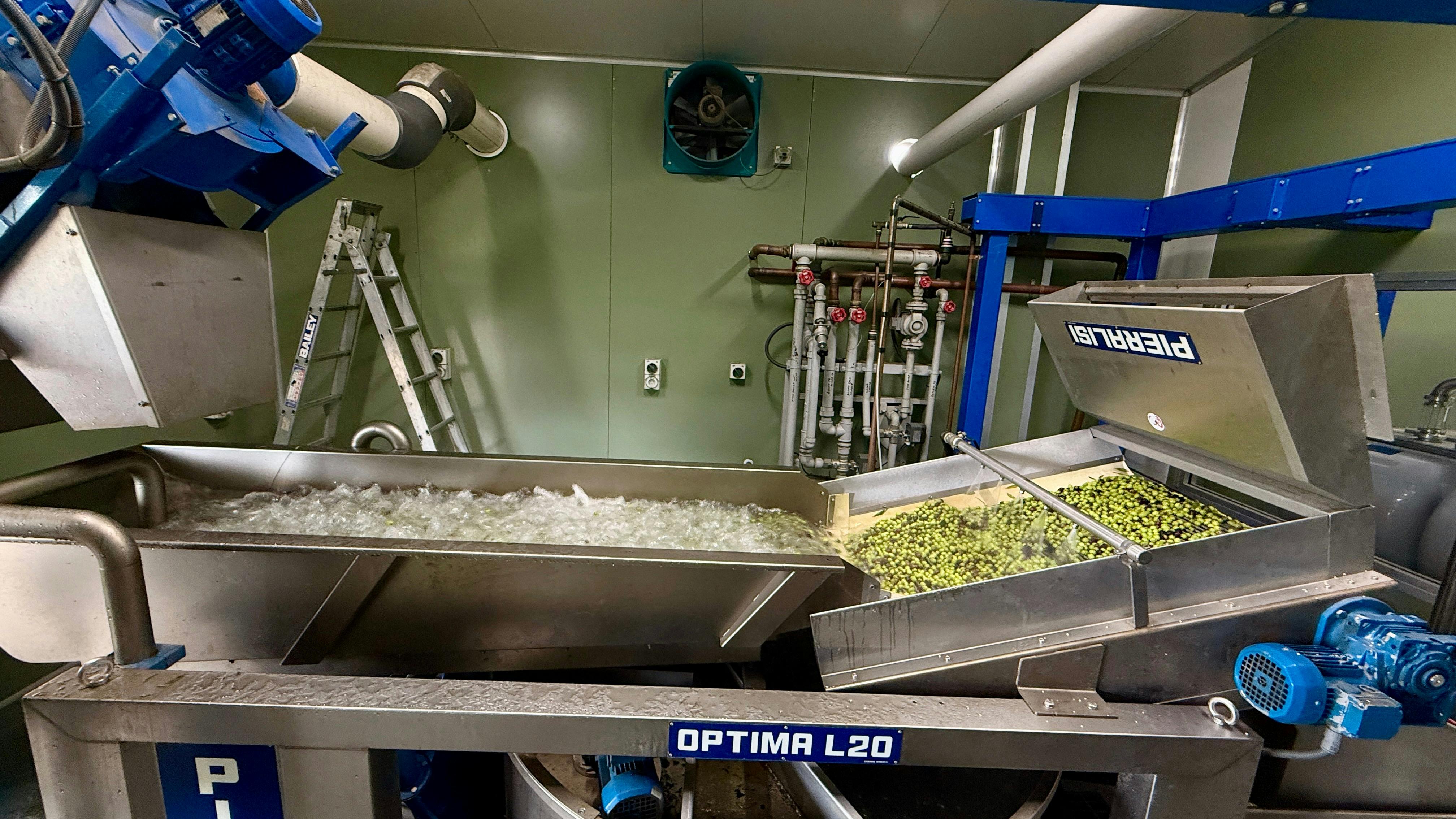 Olive Processing