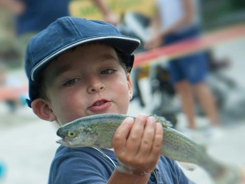 Blacktown City Family Fish In