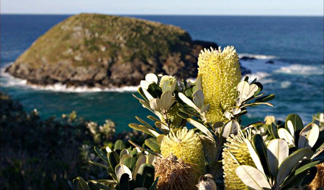 Green Island Walking Track