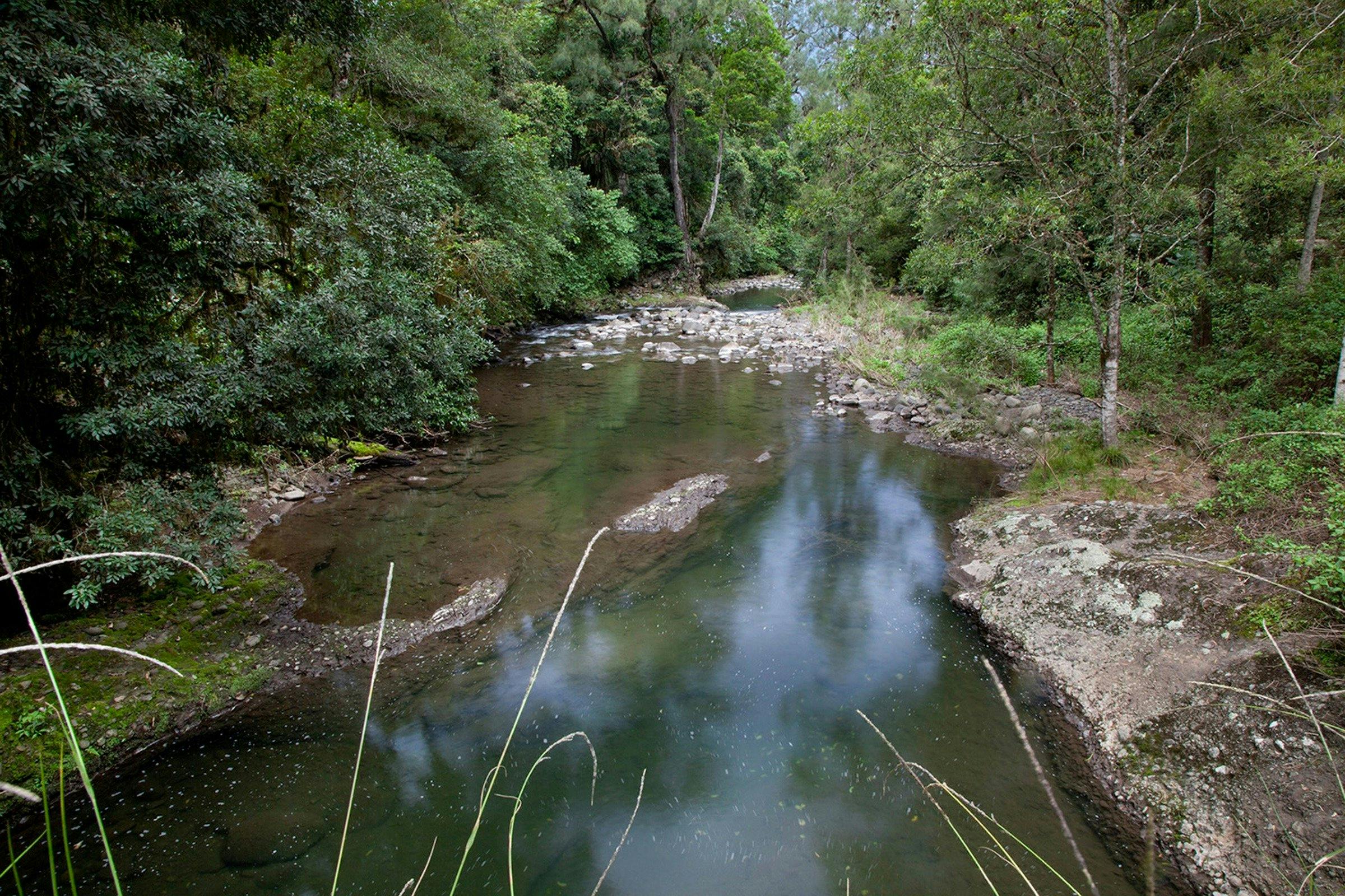 The walk skirts the beautiful Allyn River