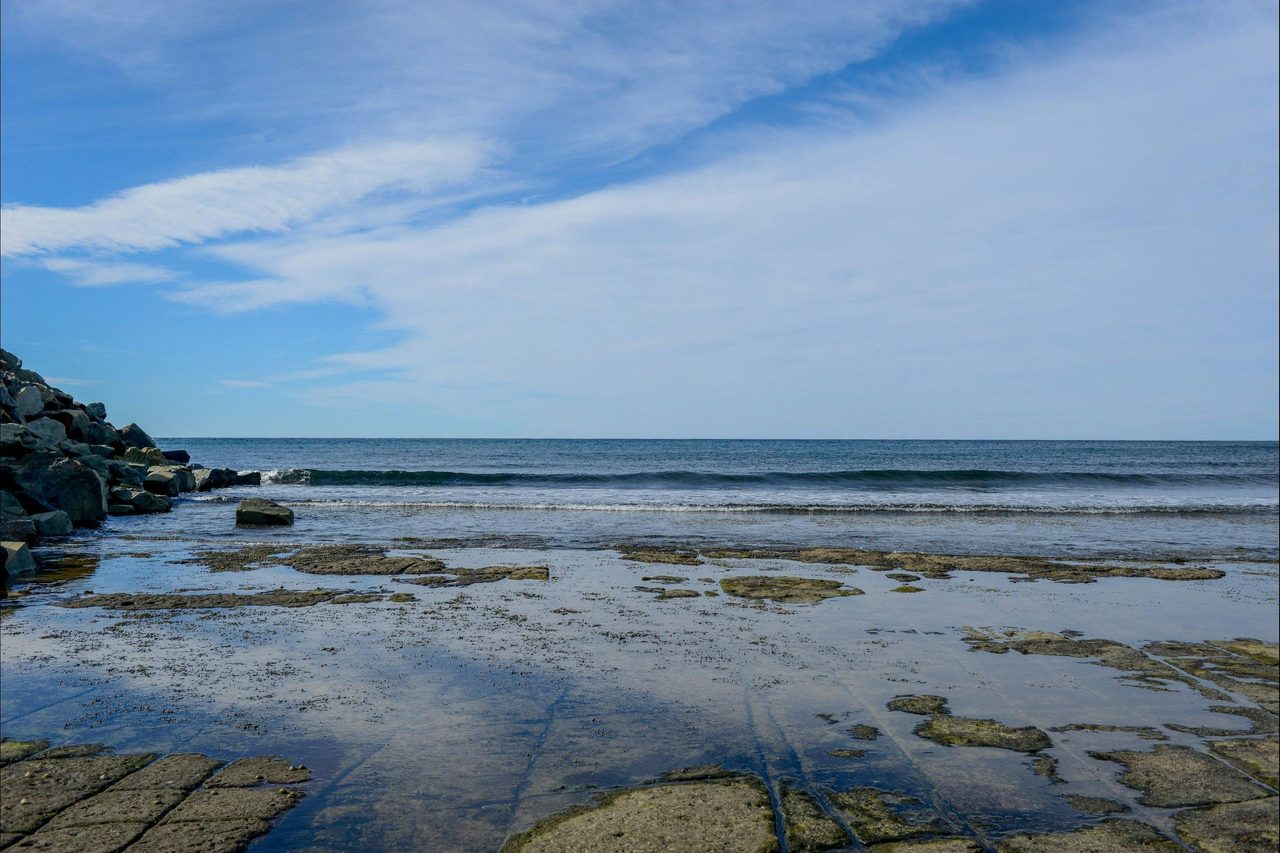 Fossil Walk