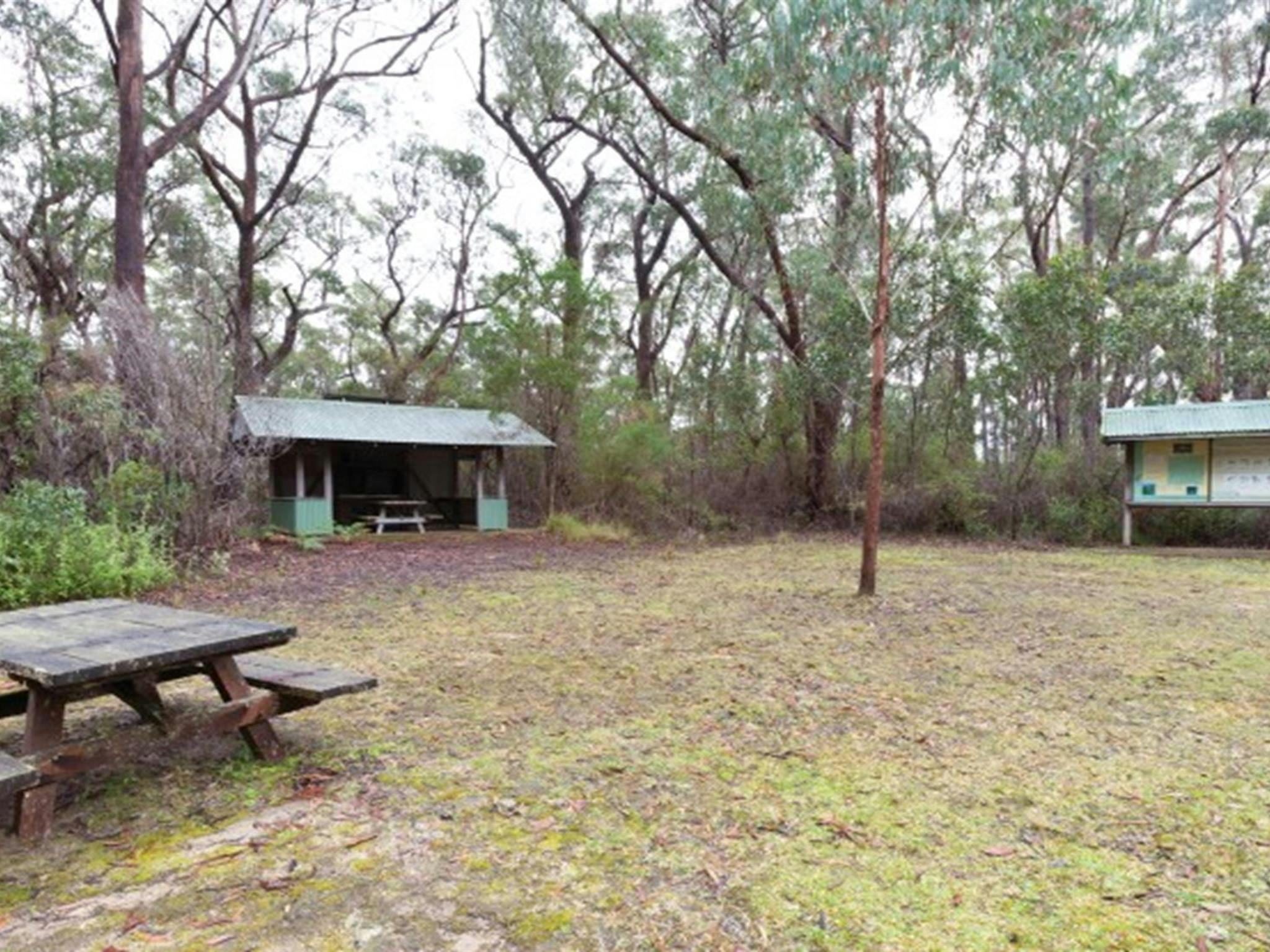 A picnic table, shelter and interpretive sign at Granite picnic area, Washpool National Park. Photo: