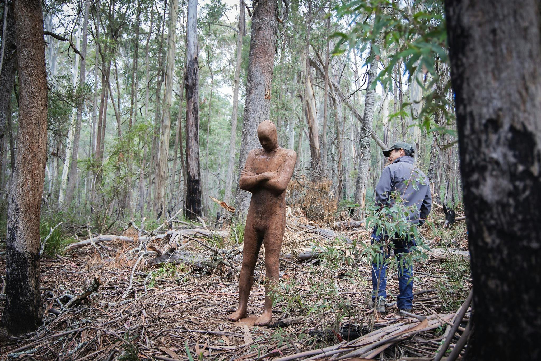 Steinunn Thórarinsdóttir scultpure along the Alpine Ash Walk