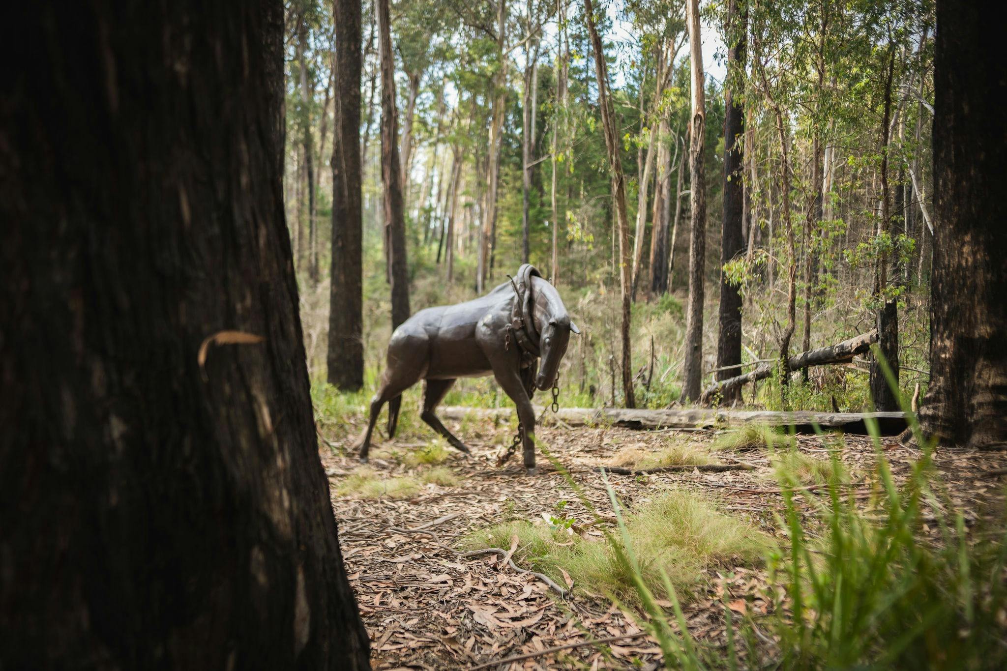 Sculptures can be found all along the Apline Ash Walk