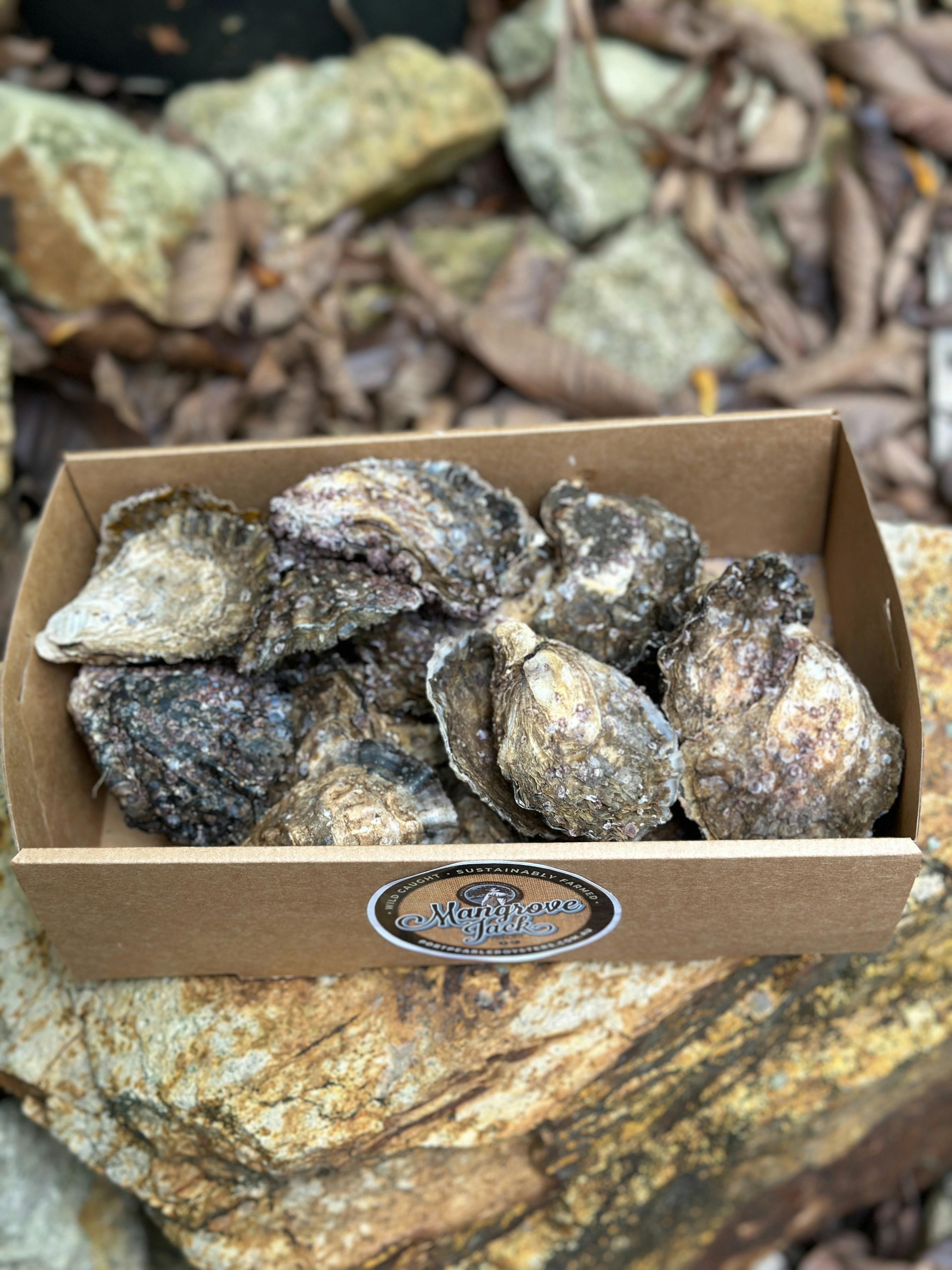 Unshucked Mangrove Jack oysters