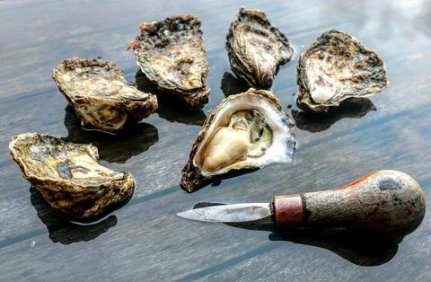 Port Pearler Oysters