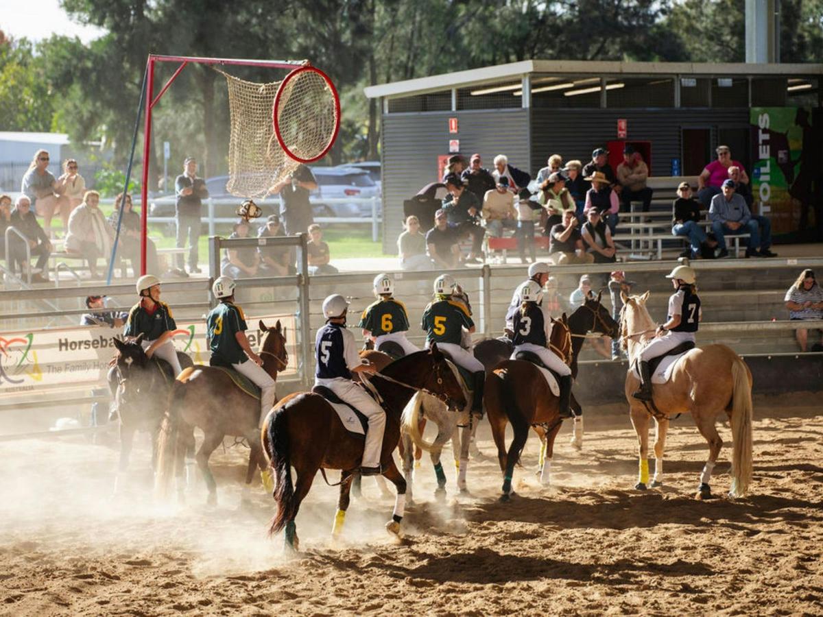 Join us at the 2026 Scone Horse Festival!