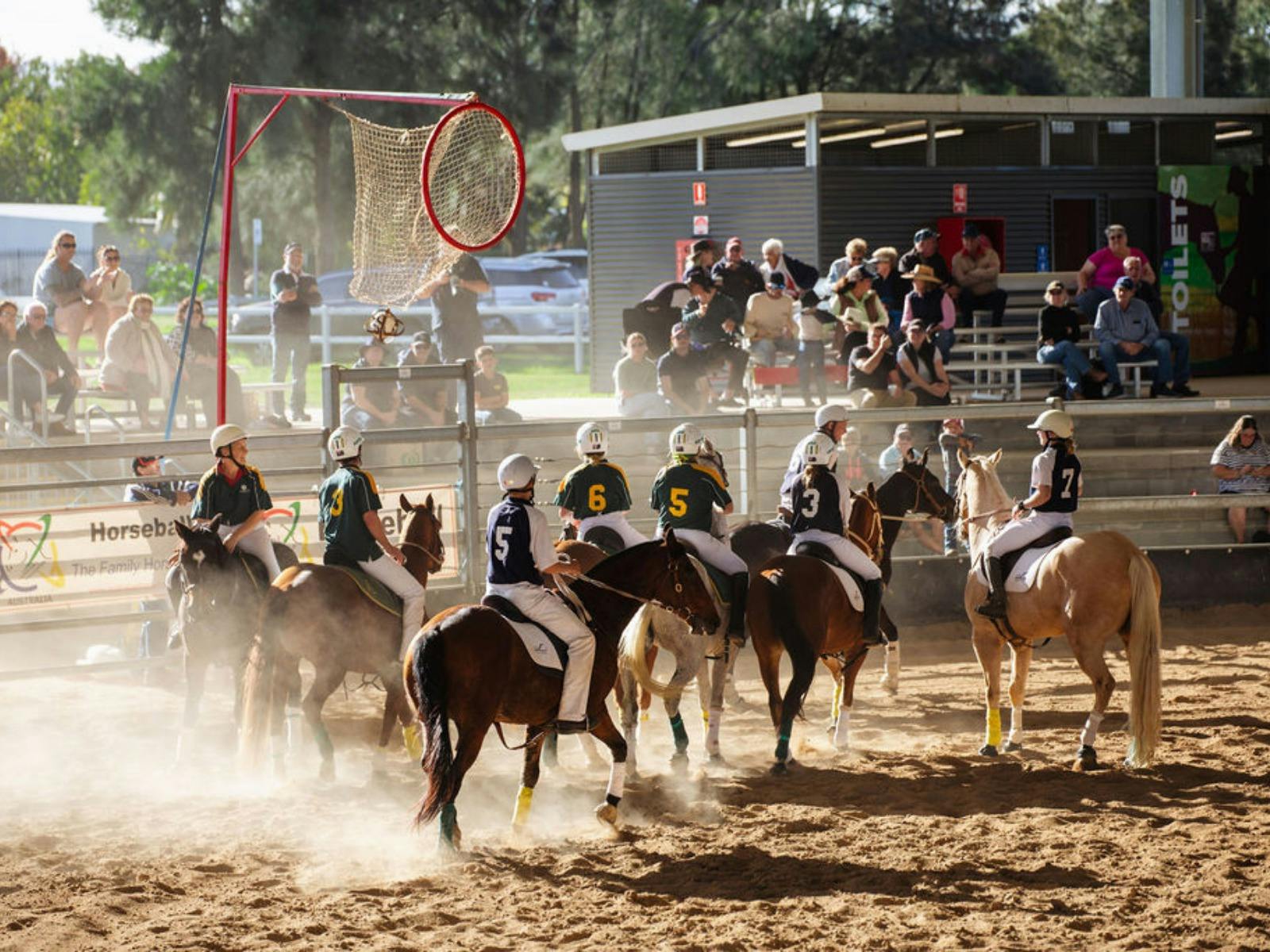 Join us at the 2026 Scone Horse Festival!