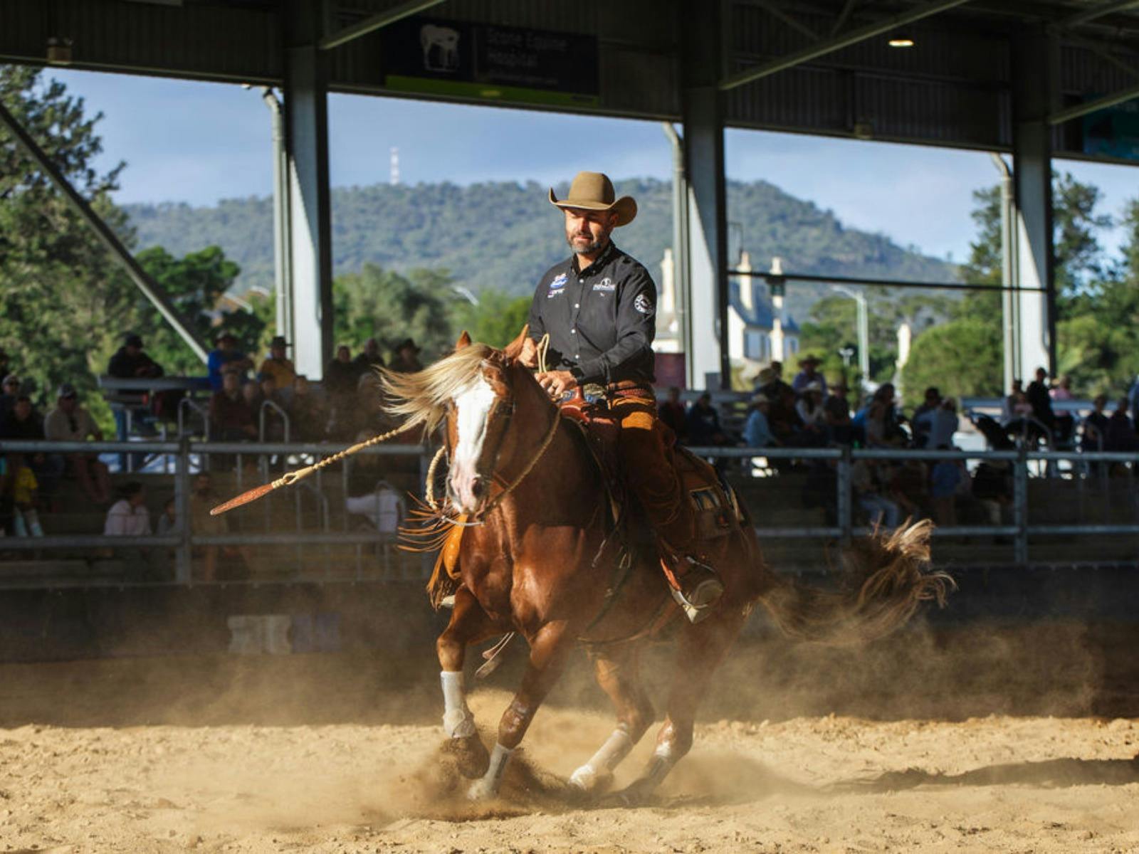 Join us at the 2026 Scone Horse Festival!