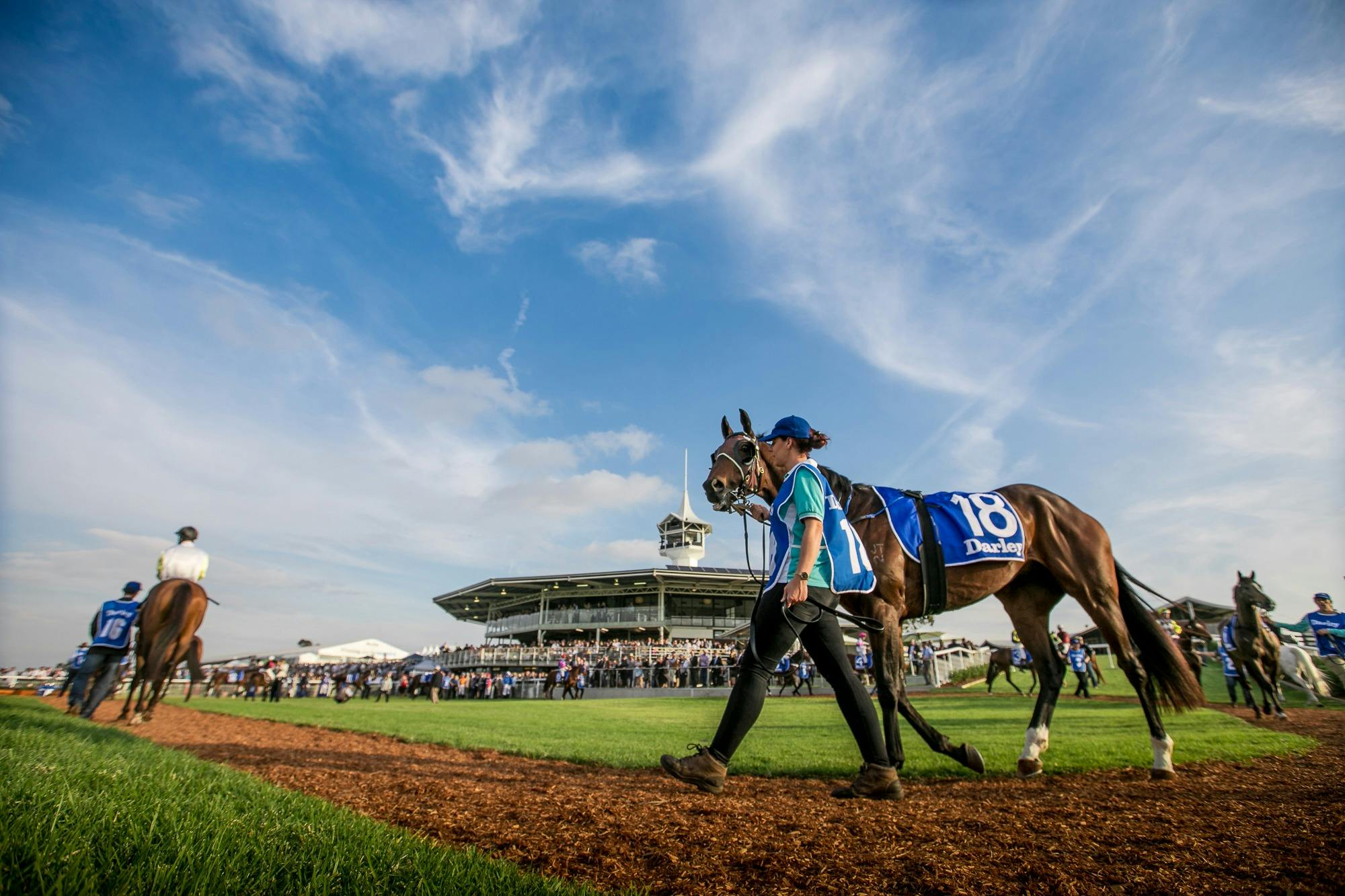 Scone Horse Festival, Scone Cup Carnival
