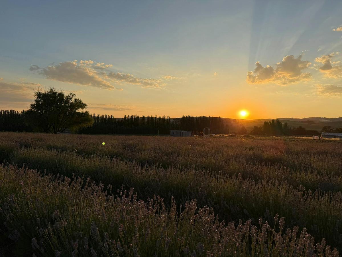 Sunsets at WRLE