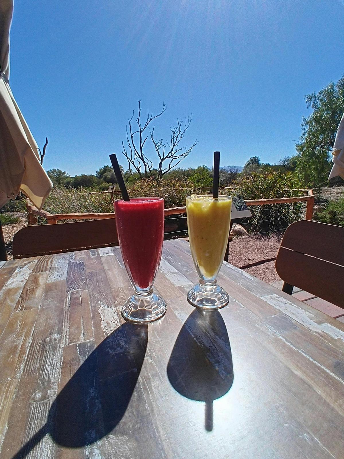 Coco Loco and Berry Go Round Smoothie