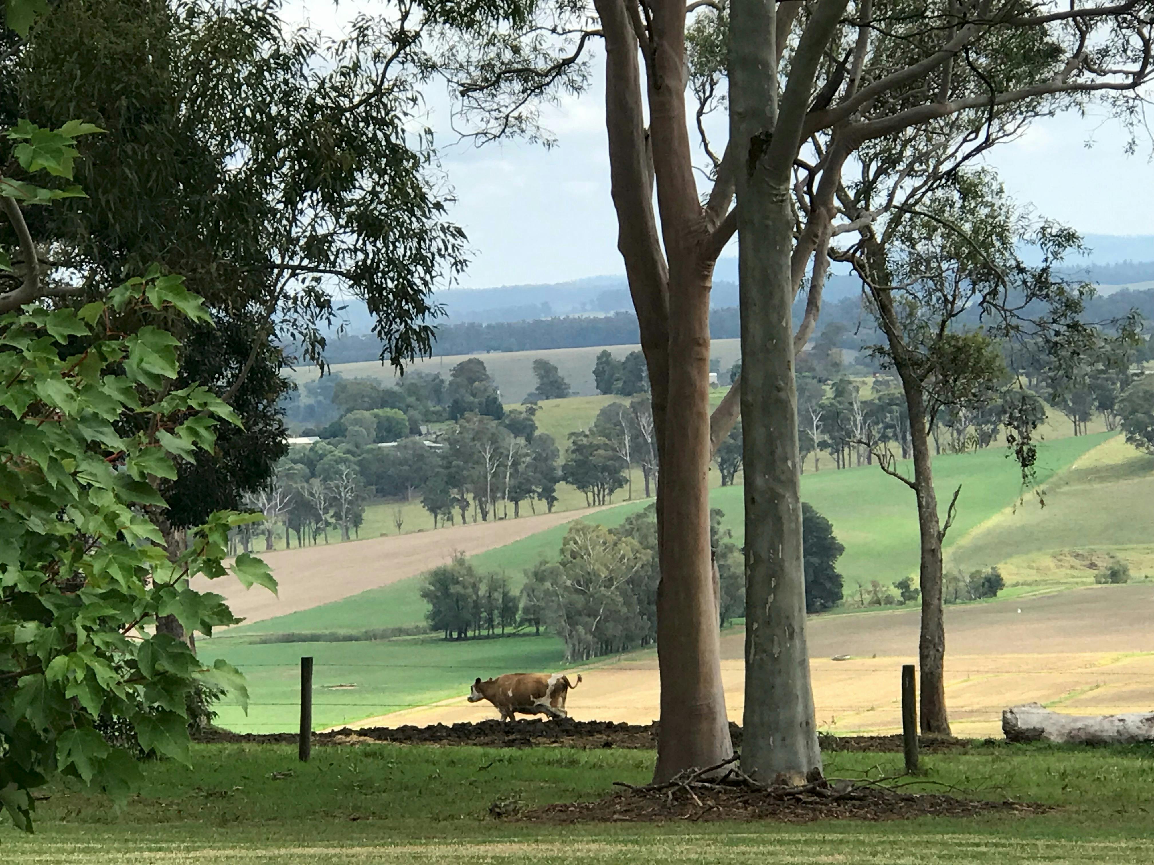 Natural Surroundings