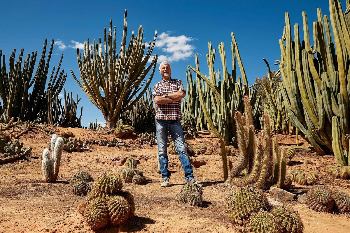 Jim Hall Cactus Country