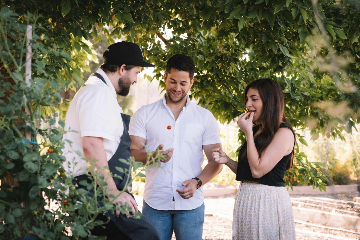 Kitchen garden forage