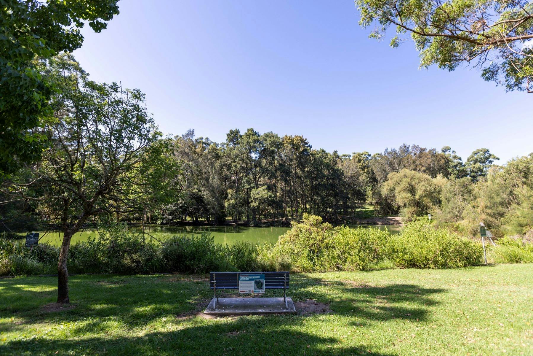 A park bench sits in front of the pond.