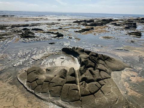 Flat Rocks, Inverloch