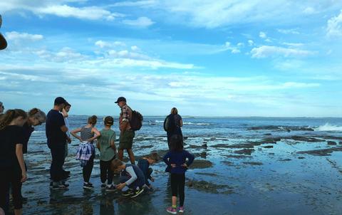 Flat rocks at low tide