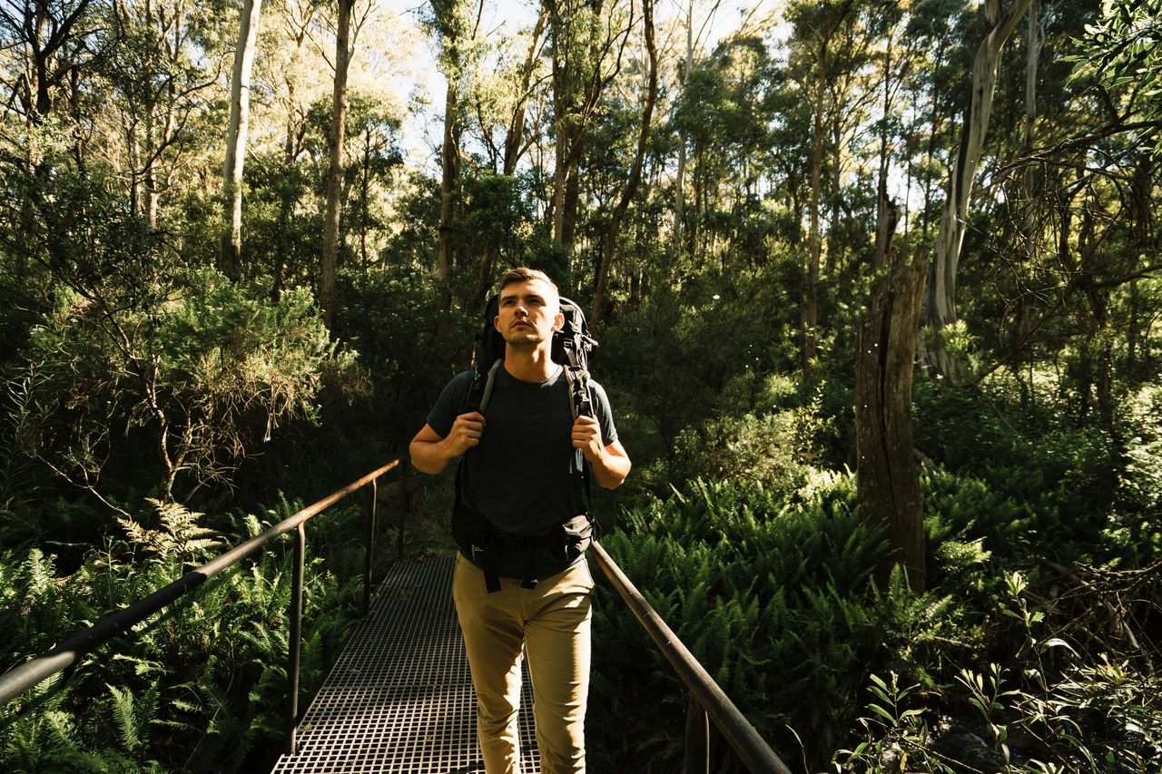 Hume & Hovell Track