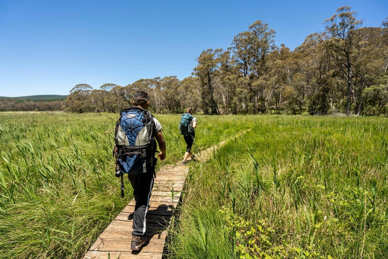 Hume & Hovell Track