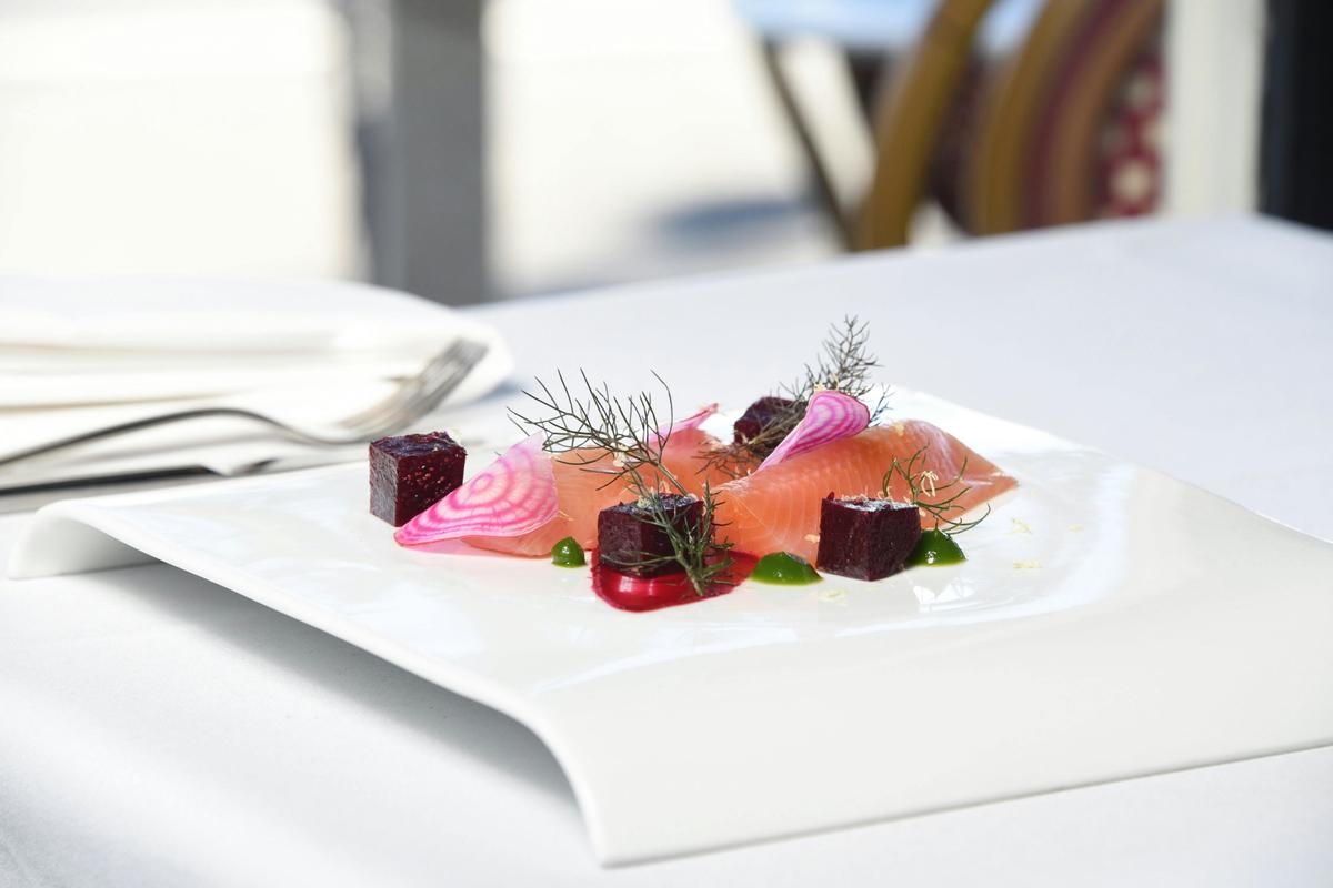 Tuki Trout