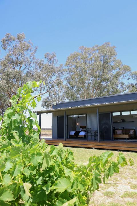 Buller Wines Vineyard View Cabins