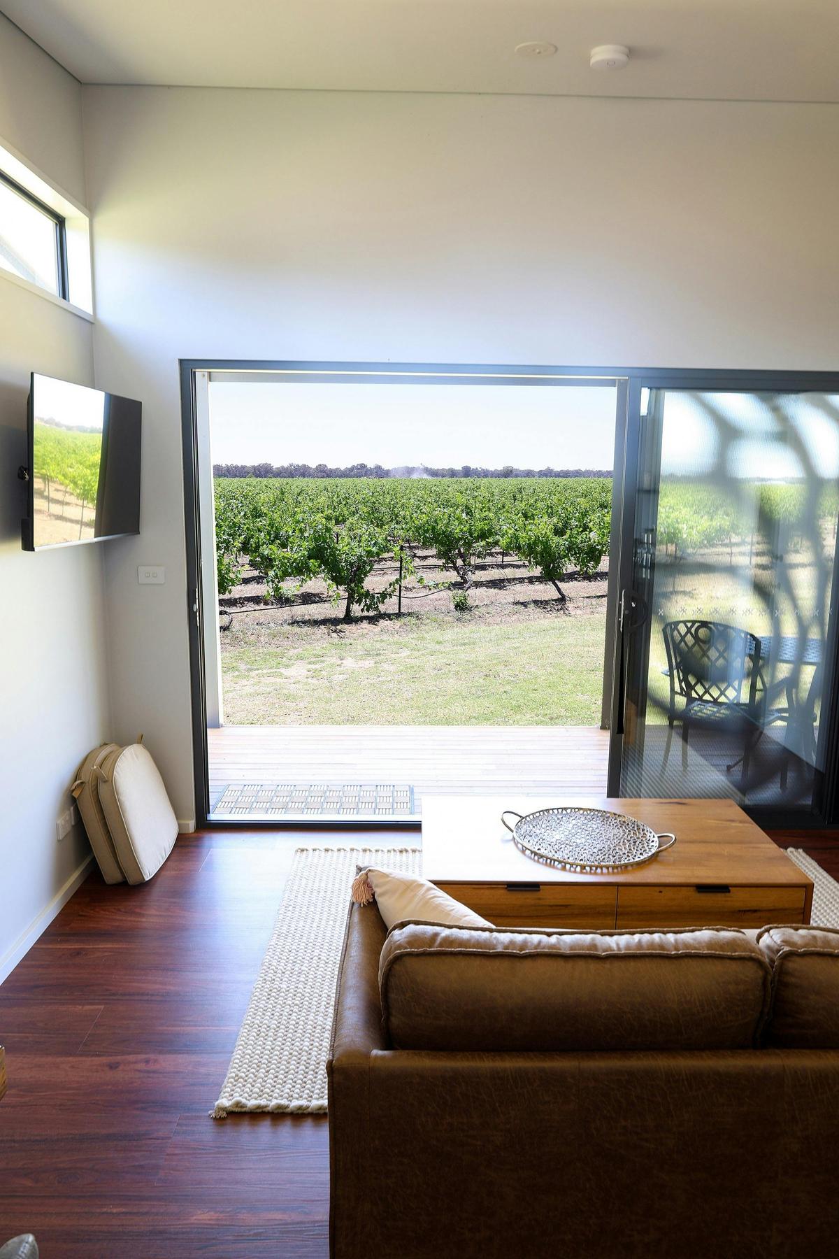 Buller Wines Vineyard view suite lounge looking over vineyard