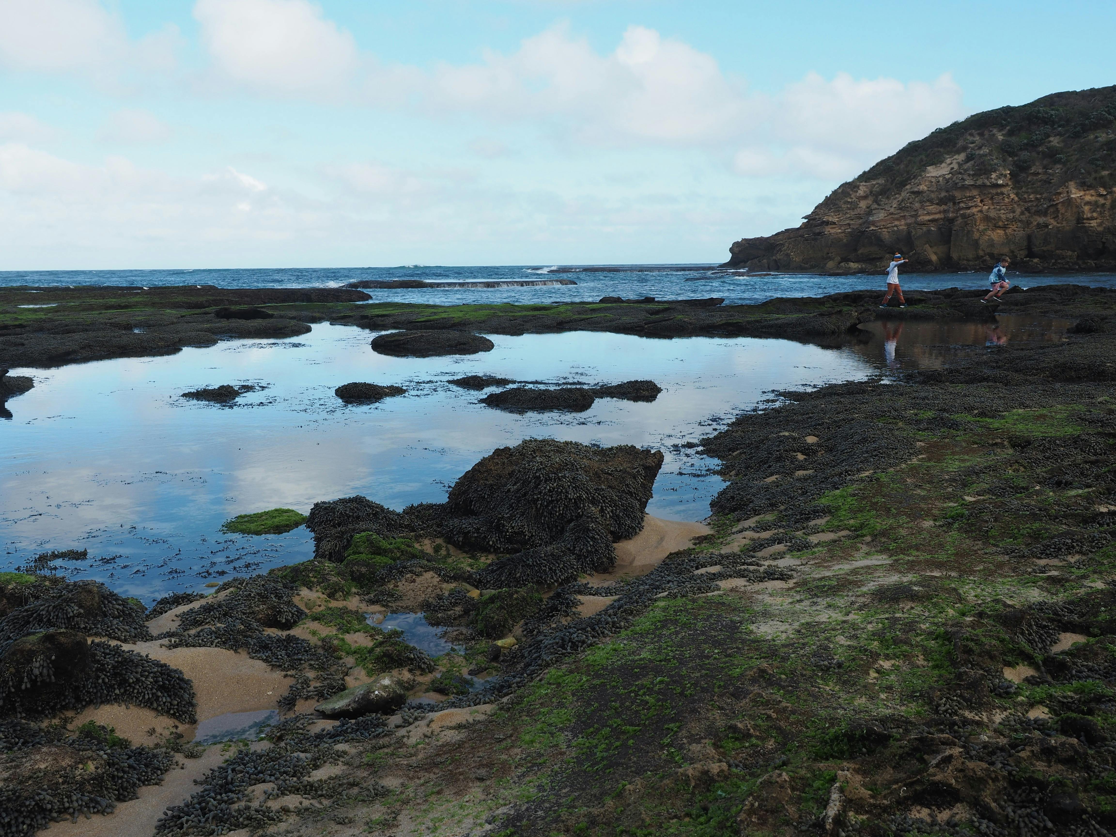 Bridgewater Bay rock pool