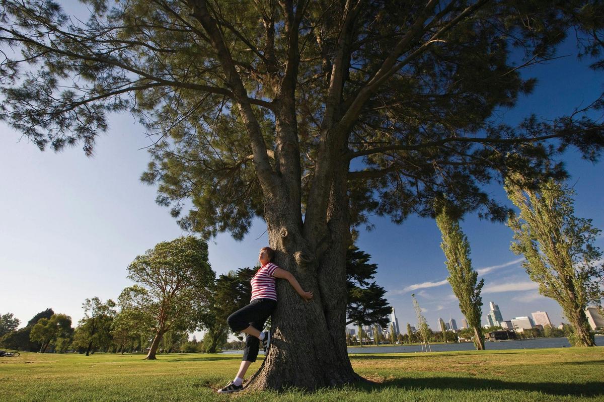 Albert Park