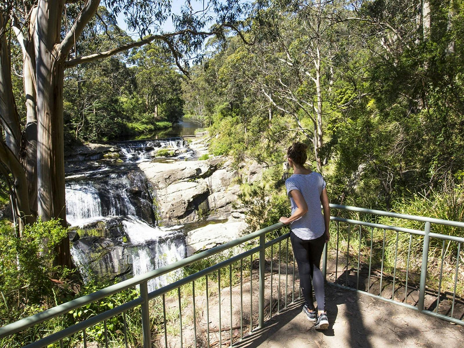 Agnes Falls Scenic Reserve