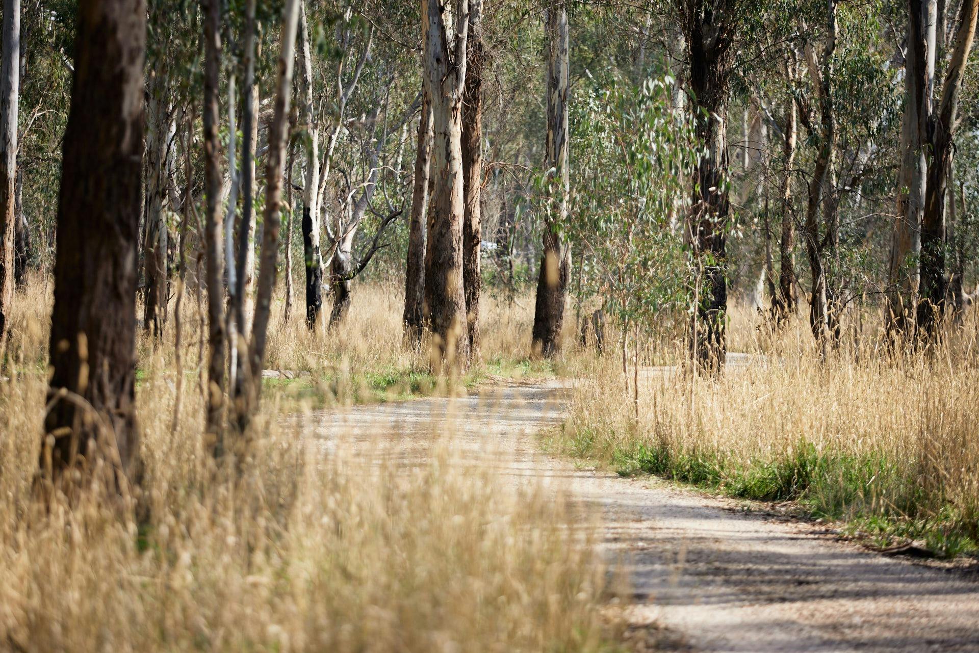 The Flats - Shepparton and Goulburn Valley