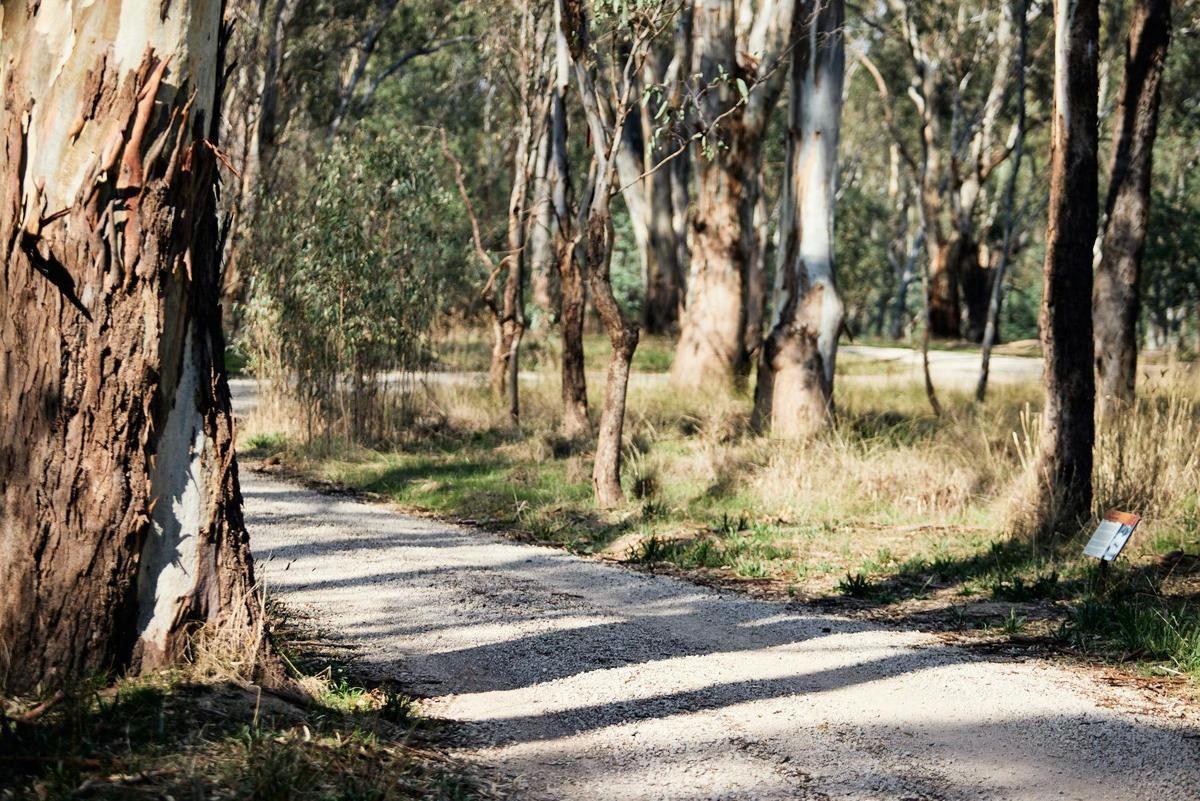 Walking track on The Flats Aboriginal History Walk