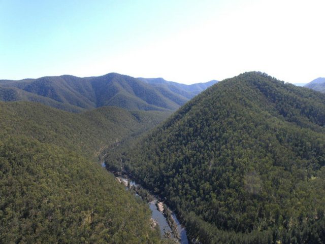 Guy Fawkes River National Park