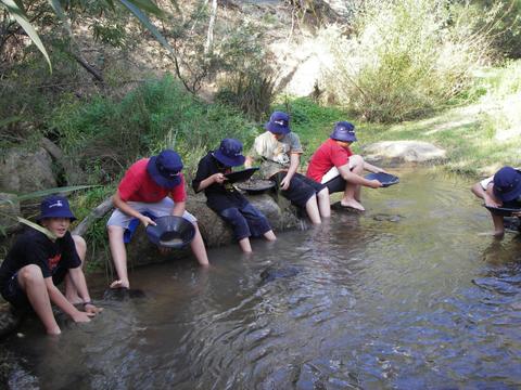 Gold Panning 