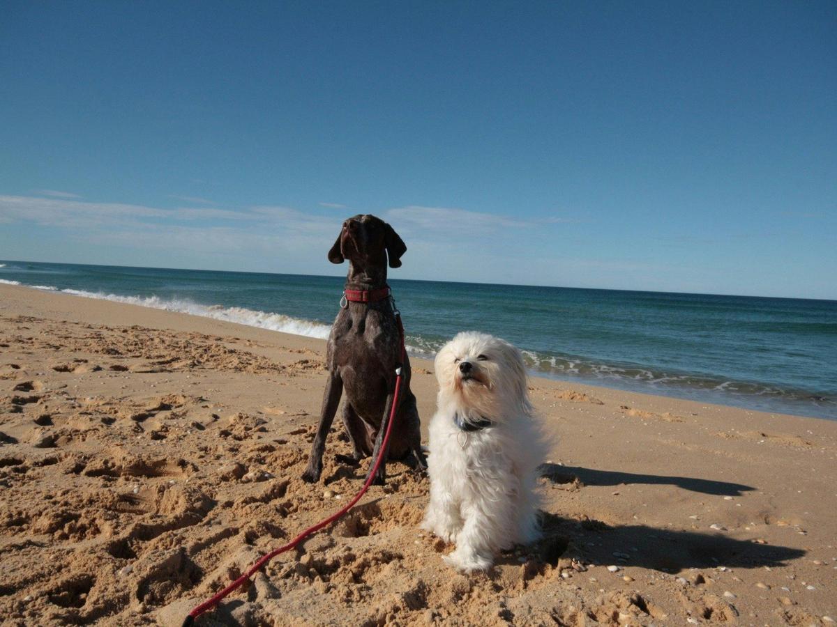 Beach holiday for all the family