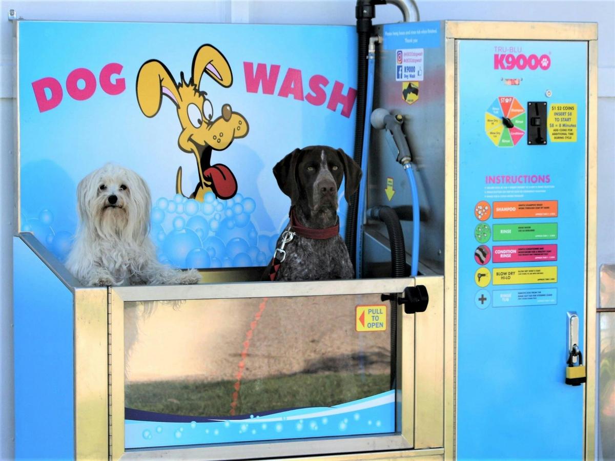 K9000 Dog Wash Station